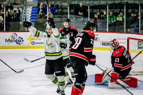 foreurs-huskies