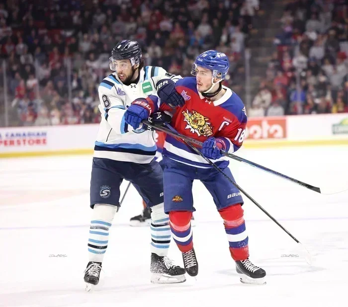 Chicoutimi vole l’avantage de la glace aux Wildcats