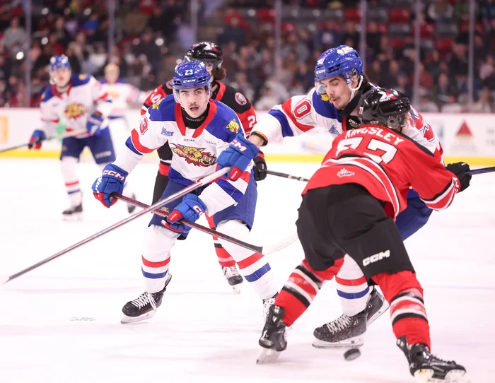 Voltigeurs-Wildcats