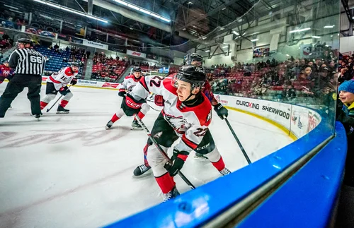 les-vilains-huskies-brisent-la-toile-de-l-armada