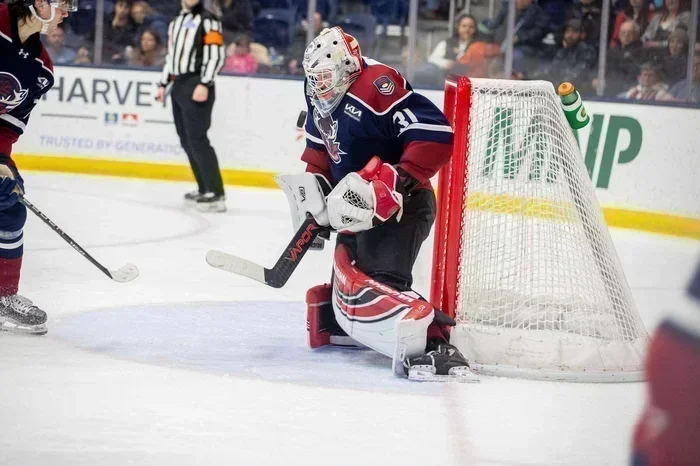 De l'expérience s'amène à Terre-Neuve