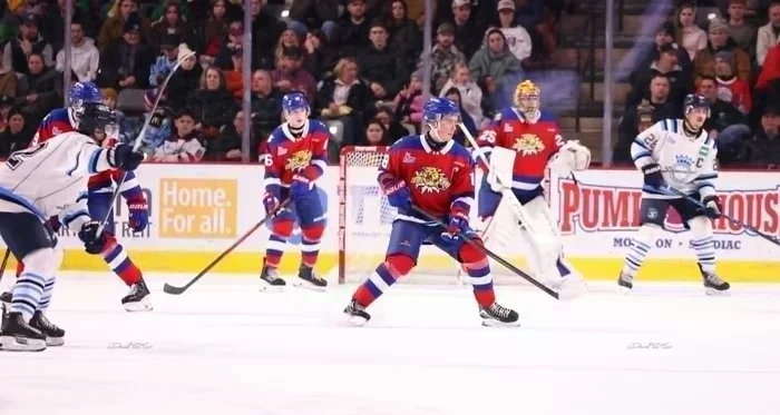 Les Wildcats frappent fort et prennent les devants en finale