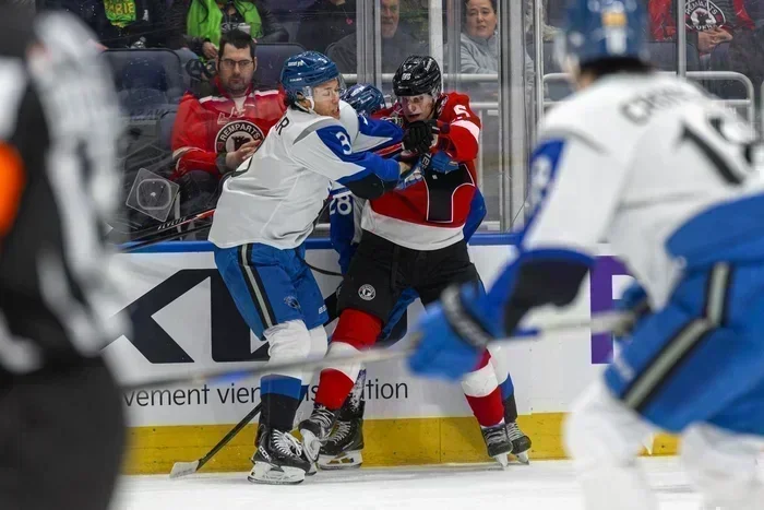 Toutous sur la glace, victoire dans la poche