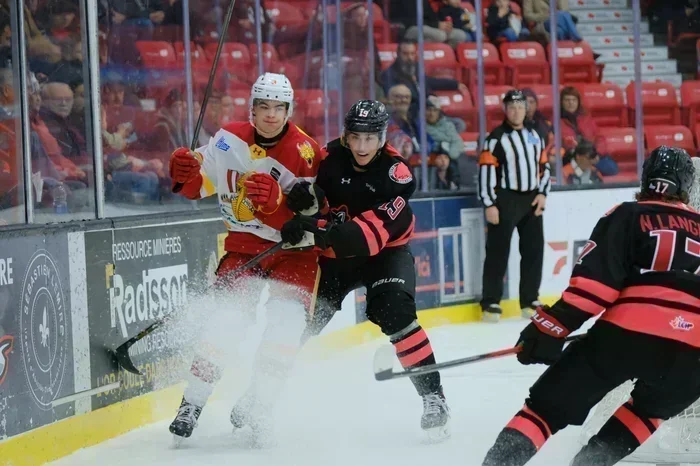 Les Huskies nous gardent au froid contre le Drakkar