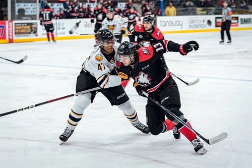 nathan-darveau-tient-les-huskies-entre-ses-griffes