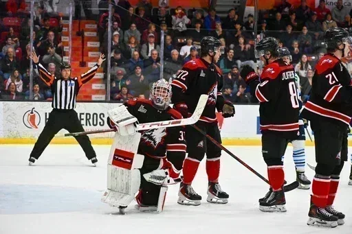 Belle preuve de combativité de la meute à contrevent