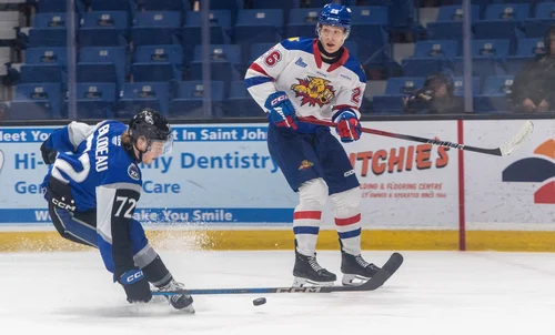 Wildcats vs Sea Dogs