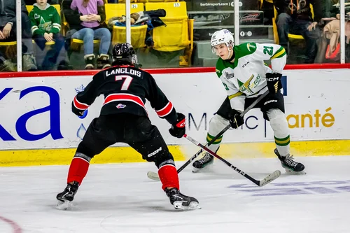 les-huskies-gardent-les-foreurs-au-fond-de-la-cave