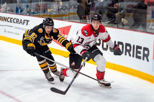les-huskies-dominent-mais-les-tigres-les-hantent