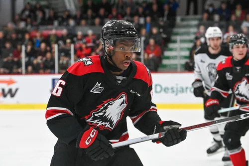 les-huskies-soufflent-sur-la-flamme-olympique