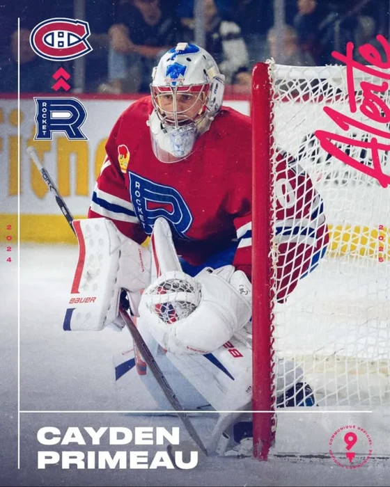 Credit photos: Facebook des Lions et du Rocket