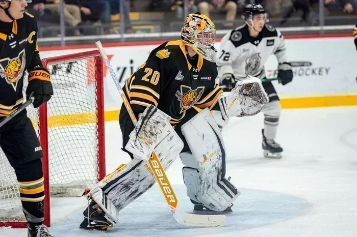 Gabriel D’Aigle étouffe l’attaque gatinoise