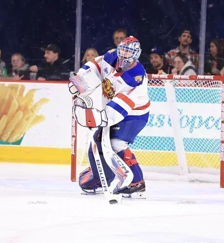 Les Wildcats musèlent les Mooseheads