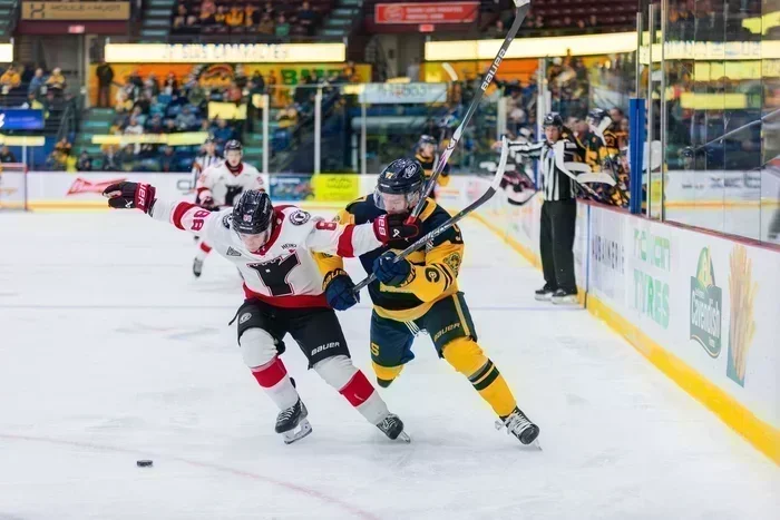 Les Remparts n’ont pas trouvé de solution à Fernandez