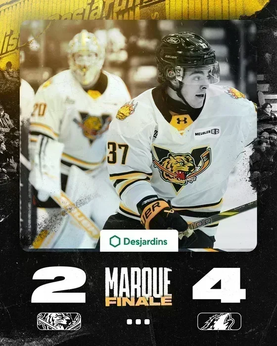 Les Huskies ont le dessus sur les félins !