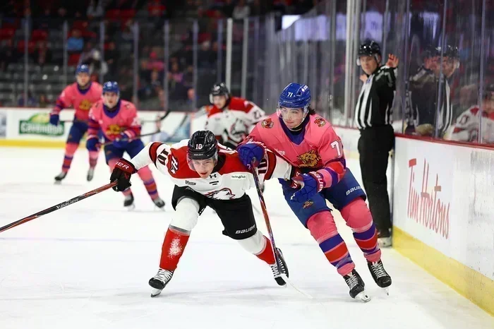 Les Huskies freinés par les Wildcats roses