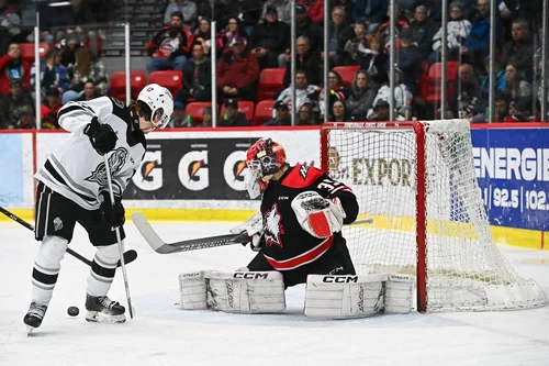 les-huskies-soufflent-sur-la-flamme-olympique