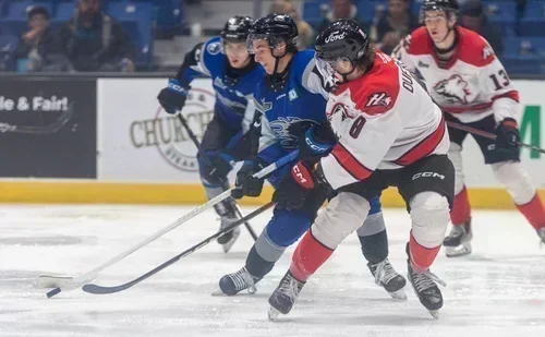 La meute dompte les Sea dogs