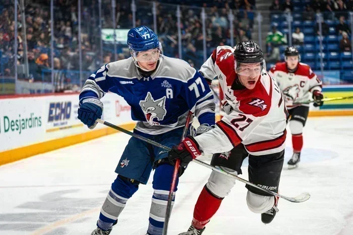 La meute de l’Ontario a le dessus sur la meute du Québec.