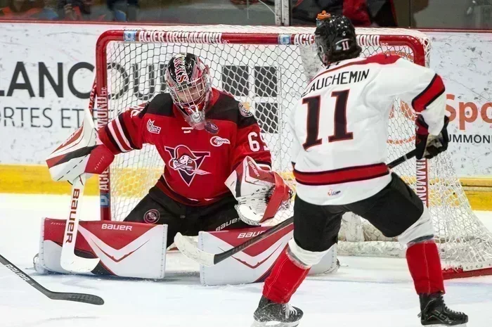 Les Voltigeurs bourdonnent… mais la meute mord !