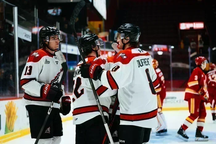 La meute sort les crocs et laisse le Drakkar au quai