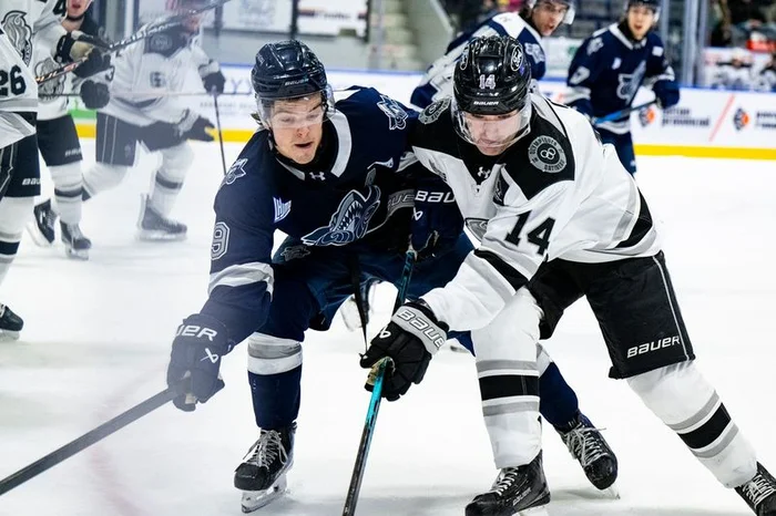 Bataille de la rondelle