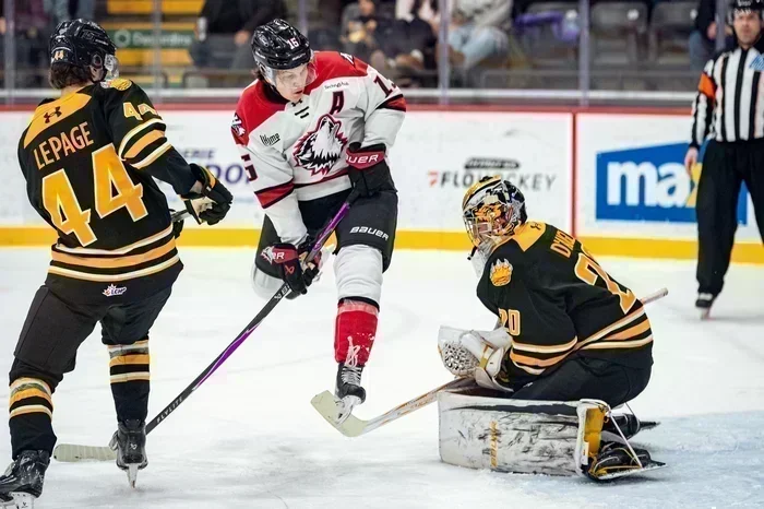 Meloche ferme la porte, les Tigres  se font dompter