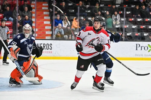 Samuel Beauchemin en train d’ennuyer la défensive du Phoenix.