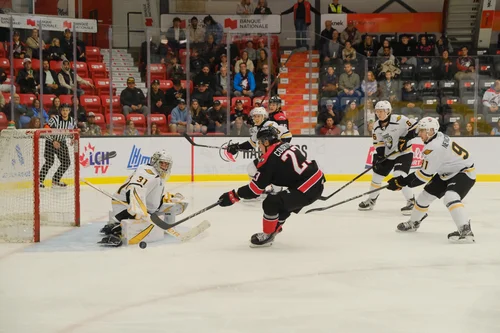 les-huskies-volés-par-les-eagles