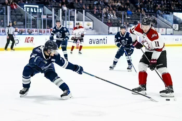 Les Huskies sortent les crocs dès la première minute à Rimouski !