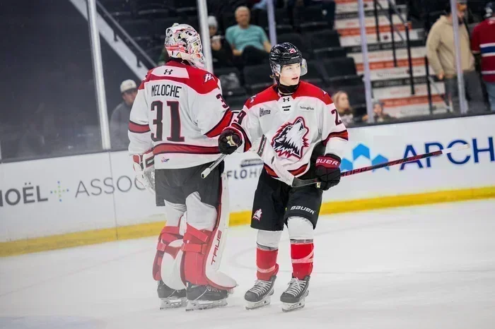 Fatigués, les Huskies font des petits miracles !