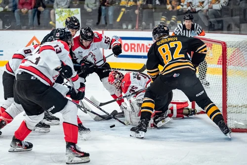 les-huskies-au-pied-du-mur