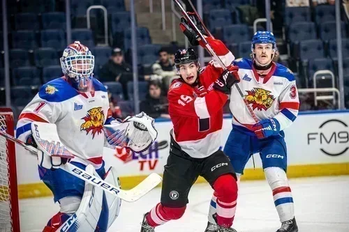 2 victoires, 1 défaite lors du voyage au Québec des Wildcats