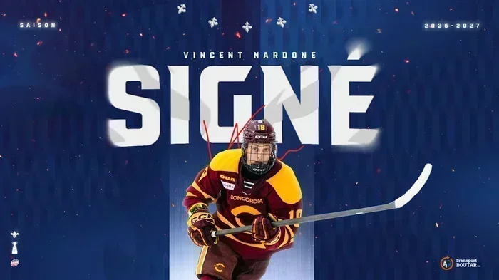 LES LIONS PIGENT CHEZ LES STINGERS : VINCENT NARDONE PASSE CHEZ LES PROS À TROIS-RIVIÈRES