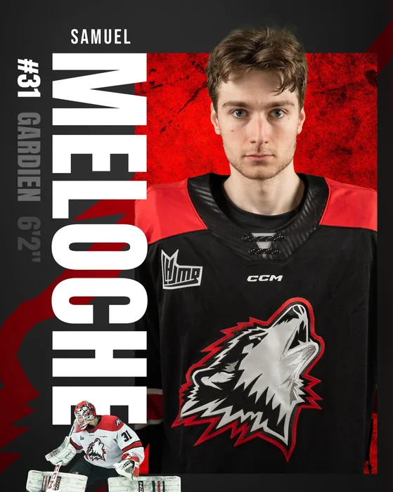 Samuel Meloche gardien #31