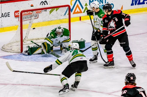 les-huskies-gardent-les-foreurs-au-fond-de-la-cave