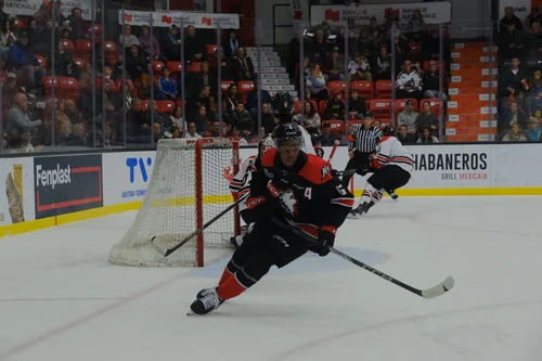 les-huskies-n-y-peuvent-rien-devant-la-muraille-mercer