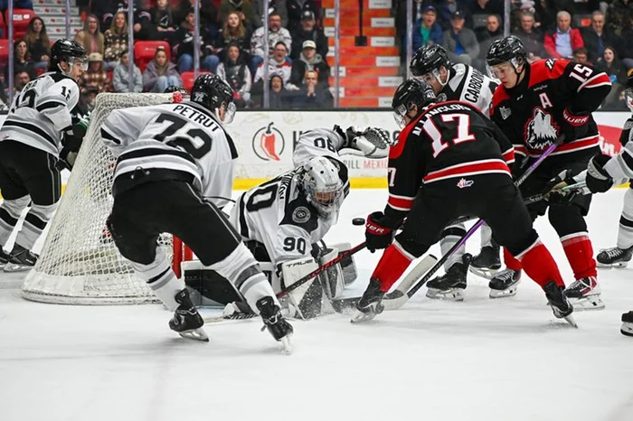 Langlois tente de battre Shaiikov