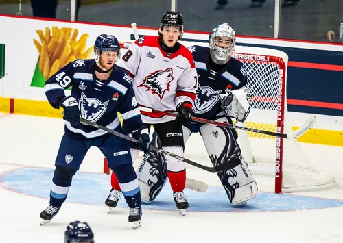 les-huskies-veillent-tard-à-sherbrooke