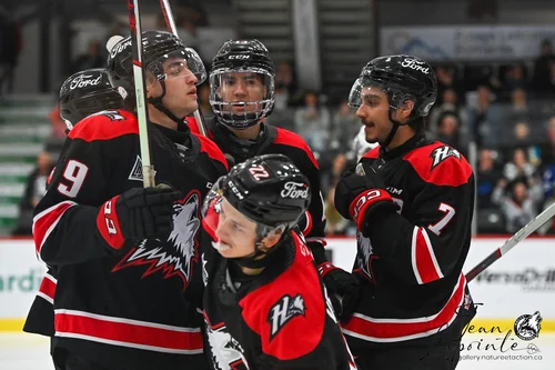un-match-de-série-haute-voltige-remporté-par-les-huskies