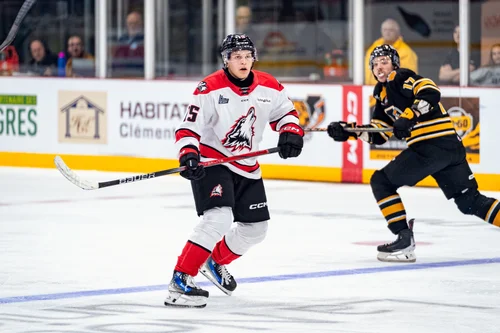 les-huskies-dominent-mais-les-tigres-les-hantent