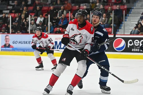 le-phoenix-continue-d-hanter-les-huskies