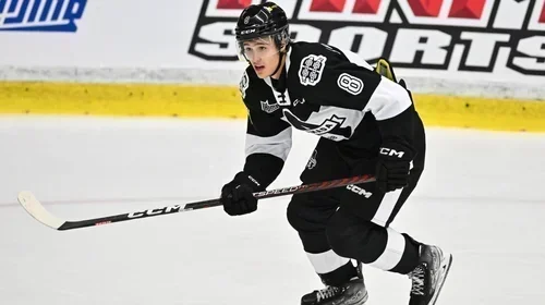 Dans le dernier droit de la LHJMQ, bonne avant dernière semaine pour l'Armada.