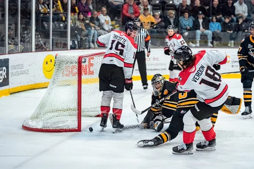 les-huskies-au-pied-du-mur