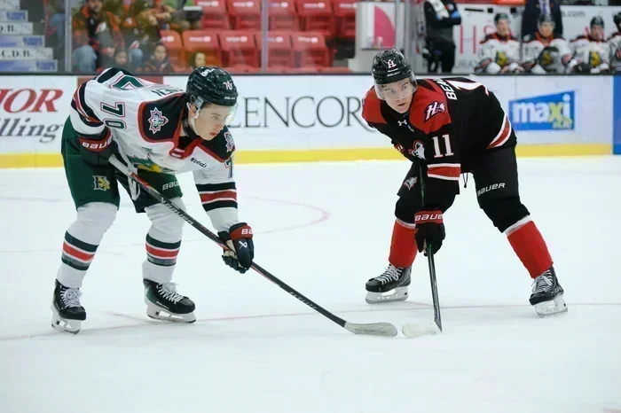 La chasse à l’orignal termine à l’Halloween à Rouyn-Noranda !