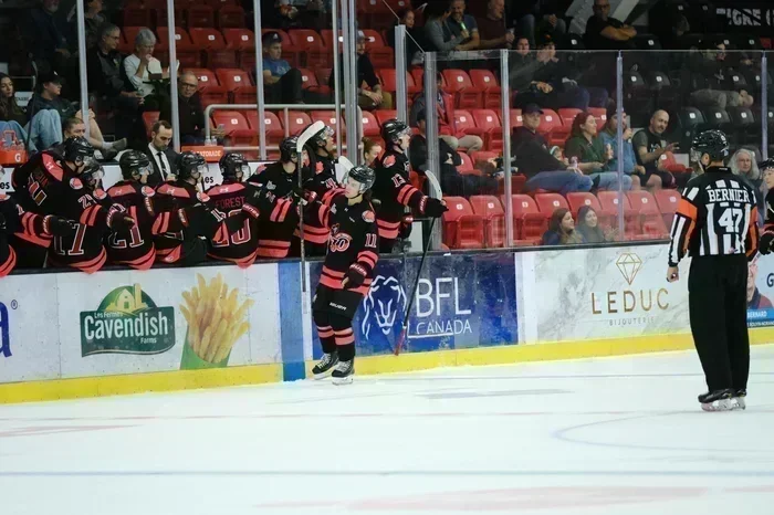 Les Huskies font fuir les félins jusqu’à Val-D’Or !