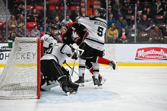 Myloserdnyy qui plaque Brunelle