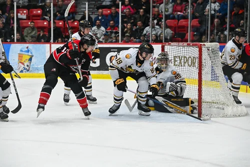 les-tigres-opportunistes-volent-les-2-parties-à-rouyn