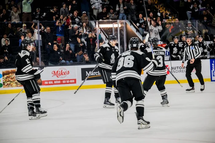 Séguin but célébration