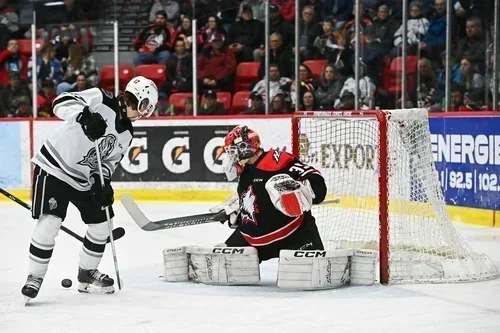 Les Huskies soufflent sur la flamme Olympique